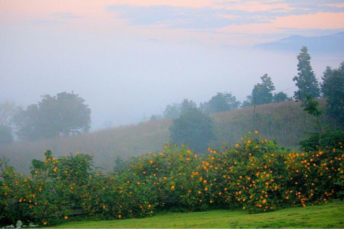 มนต์เมืองแจ่ม Hotel Mae Chaem Buitenkant foto