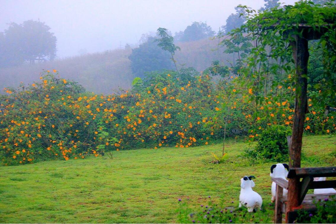 มนต์เมืองแจ่ม Hotel Mae Chaem Buitenkant foto