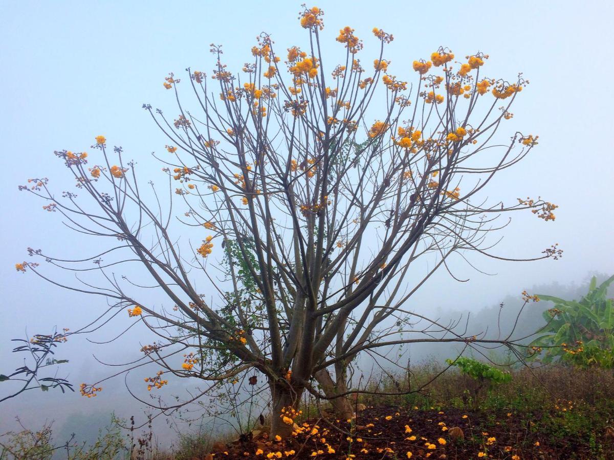 มนต์เมืองแจ่ม Hotel Mae Chaem Buitenkant foto